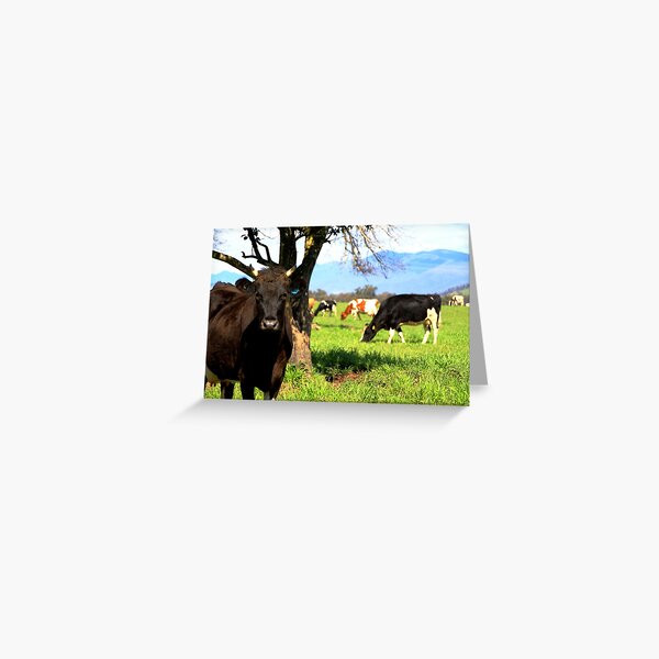 Item preview, Prudence In Her Paddock designed and sold by Natalie Ord.