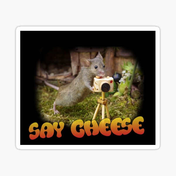 wild mouse with a camera - say cheese Sticker
