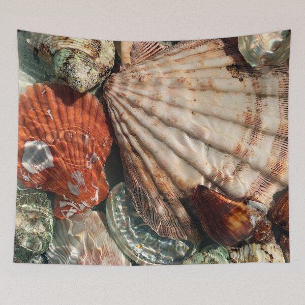 Item preview, Seashells designed and sold by Frankie Cat Photography.