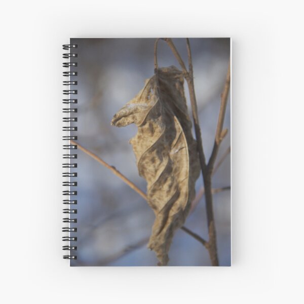 Dead Leaf Spiral Notebook
