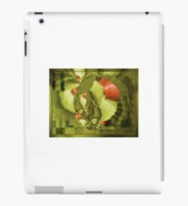 Vinilo o funda para iPad Aug15 Fractal Mapping