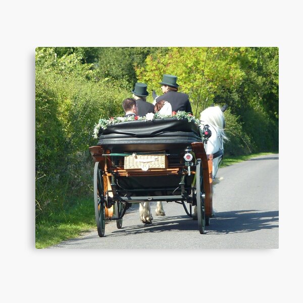 Bride and Groom Canvas Print