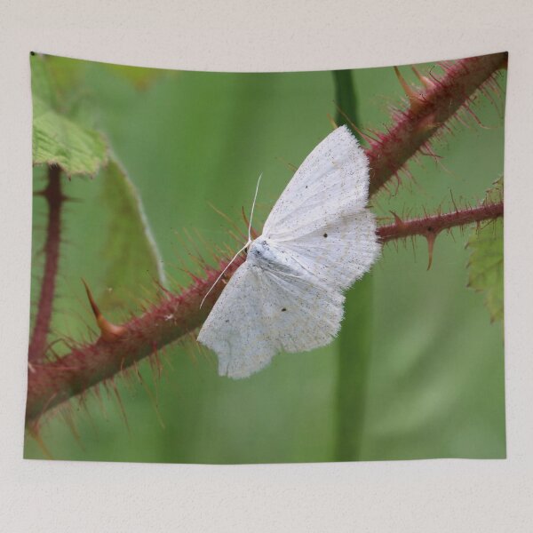 Item preview, Almost Perfect designed and sold by cuprum.