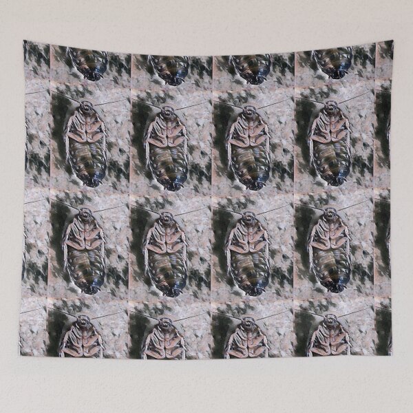 Item preview, Flipped designed and sold by SpiderFire Photography.