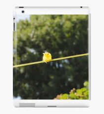 Perching Chick iPad Case/Skin