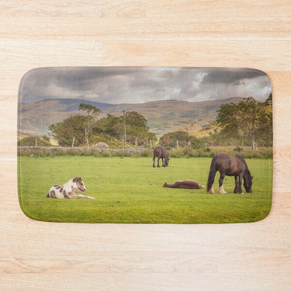 Item preview, The horses, Black Valley , Co. Kerry , Ireland designed and sold by Zdrojewski.