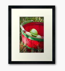 Apple Picking Framed Print
