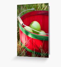 Apple Picking Greeting Card