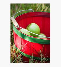 Apple Picking Photographic Print