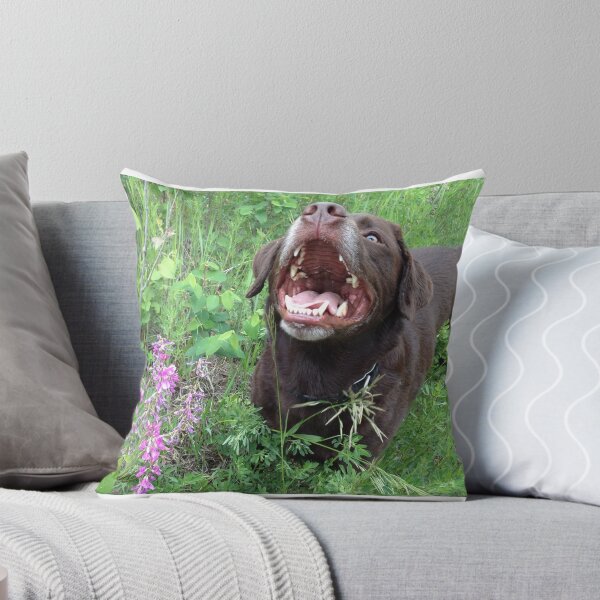 Artikelvorschau, Alligator Smile entworfen und verkauft von CaptureRadiance.