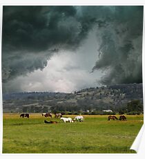 4901 Poster