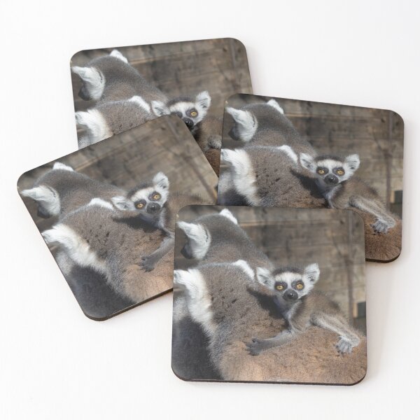 Item preview, Ring-Tailed Lemur Baby designed and sold by Mythos57.