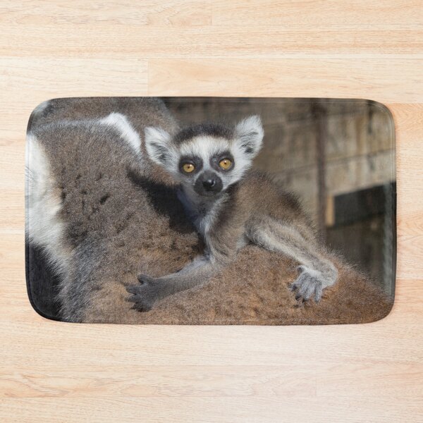 Item preview, Ring-Tailed Lemur Baby designed and sold by Mythos57.