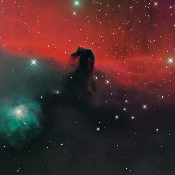 Artwork thumbnail, The Horsehead Nebula in Orion by Elliott McKinley