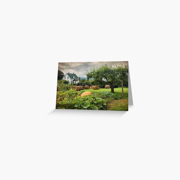 The Pumpkin Patch Greeting Card
