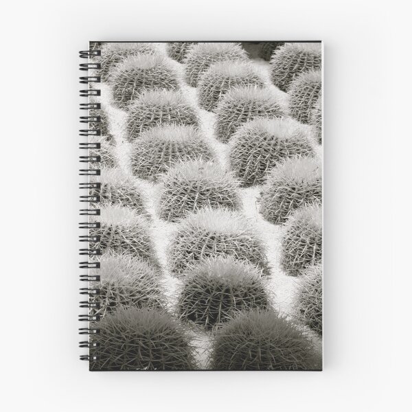 Artikelvorschau, Tread Carefully - B&W entworfen und verkauft von CaptureRadiance.