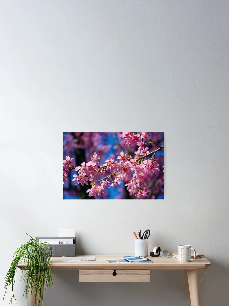 Thumbnail 2 of 3, Poster, Pink In Bloom designed and sold by StudioJae.