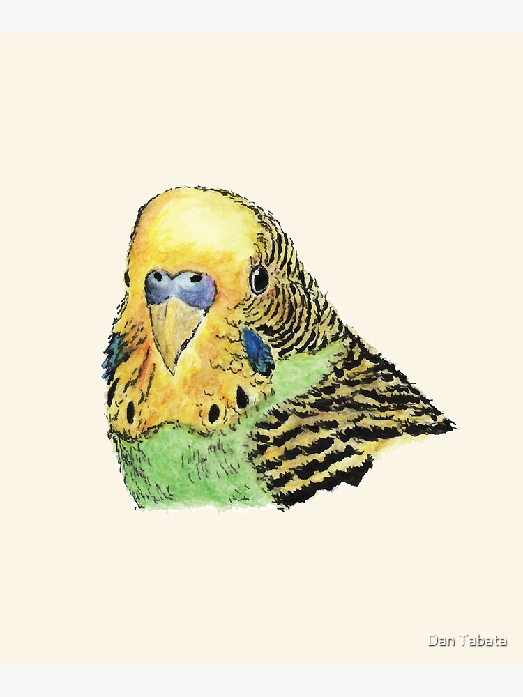 Prettyboy the Green Parakeet by dmtab