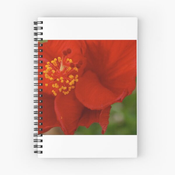 Item preview, Radiant Red  designed and sold by CaptureRadiance.
