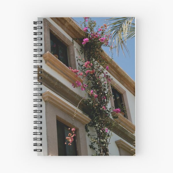 Aperçu de l'œuvre Fleurs grimpantes créée et vendue par CaptureRadiance.