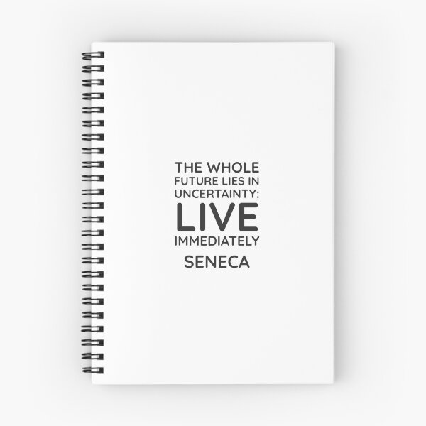 Artikelvorschau, Senecas stoische Philosophie – Die ganze Zukunft liegt in Ungewissheit entworfen und verkauft von Inspirationmotivation.