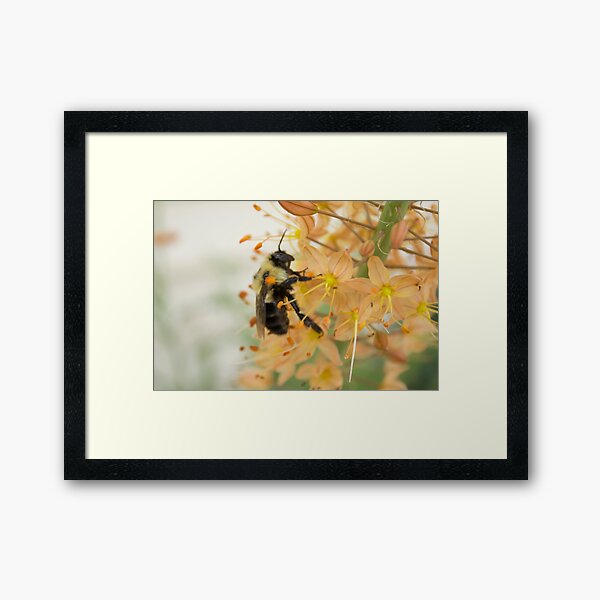 The Bee Within Framed Art Print