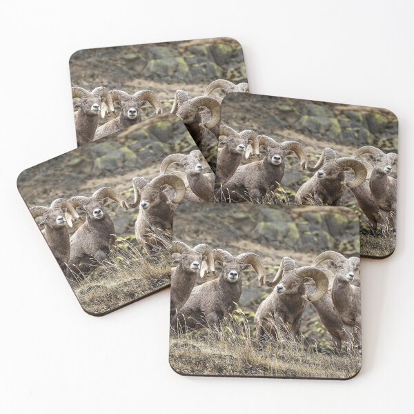 Item preview, Big Horn Lineup designed and sold by WesDotPhotography.