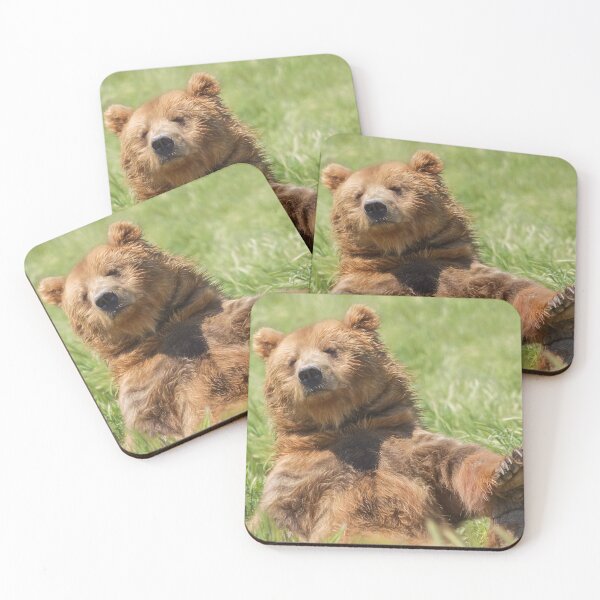 Item preview, Boo Boo Bear designed and sold by WesDotPhotography.