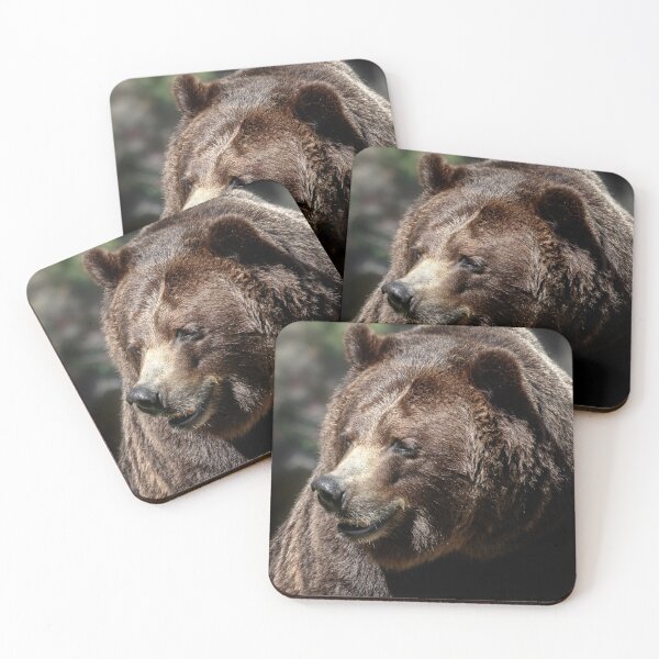 Item preview, Bruin Smiles designed and sold by WesDotPhotography.