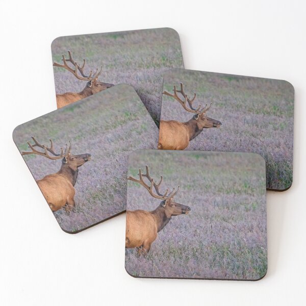 Item preview, Bull Elk in Velvet designed and sold by WesDotPhotography.