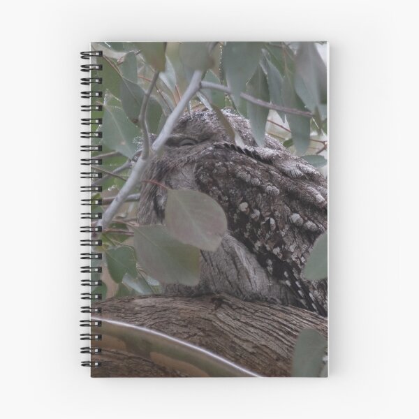Item preview, Old Tawny Frogmouth 20190606 0459  designed and sold by Fred Mitchell.