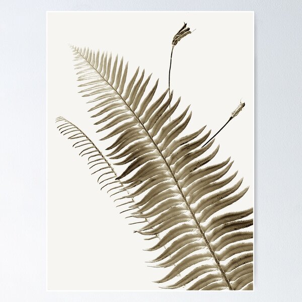 Item preview, Fern leaf study designed and sold by Jeffrey  Sinnock.