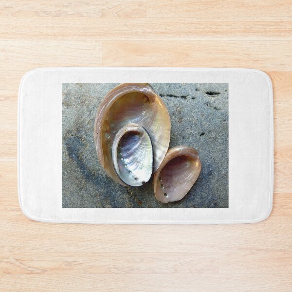 Item preview, SEA SHELLS ON A ROCK designed and sold by Elaine Bawden.