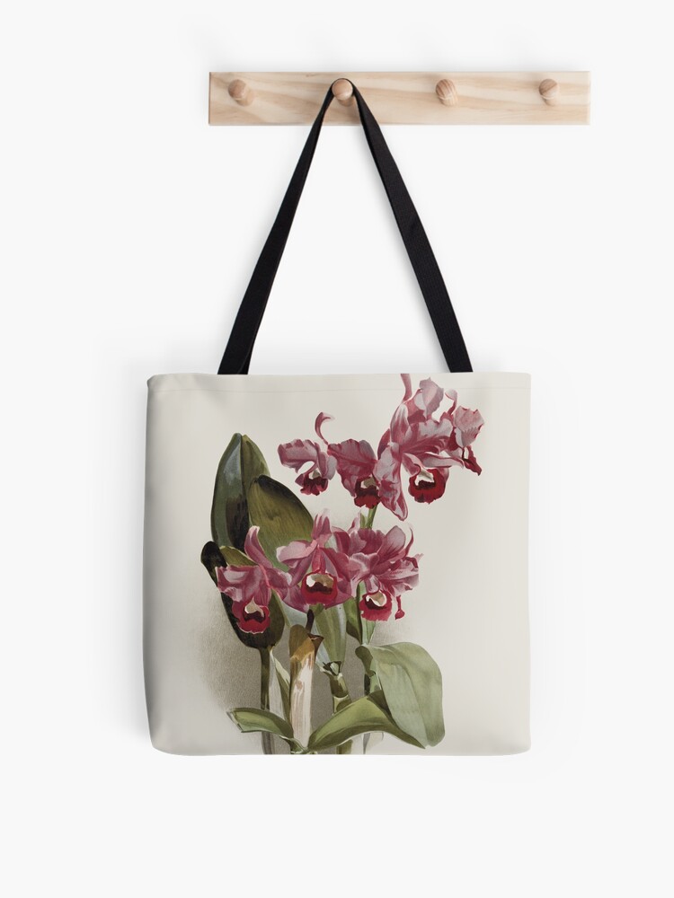 Tote bag « Botanique antique : dessin de belle fleur pourpre (orchidée  Cattleya bowringiana) », par AntiqueScience | Redbubble