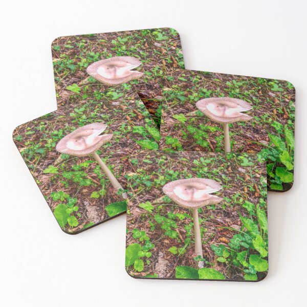 Item preview, Mushrooms in the Valley designed and sold by BennEmm.