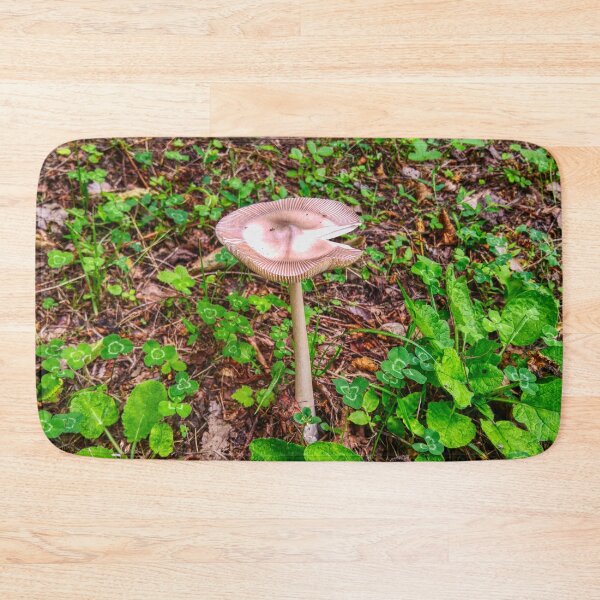Item preview, Mushrooms in the Valley designed and sold by BennEmm.