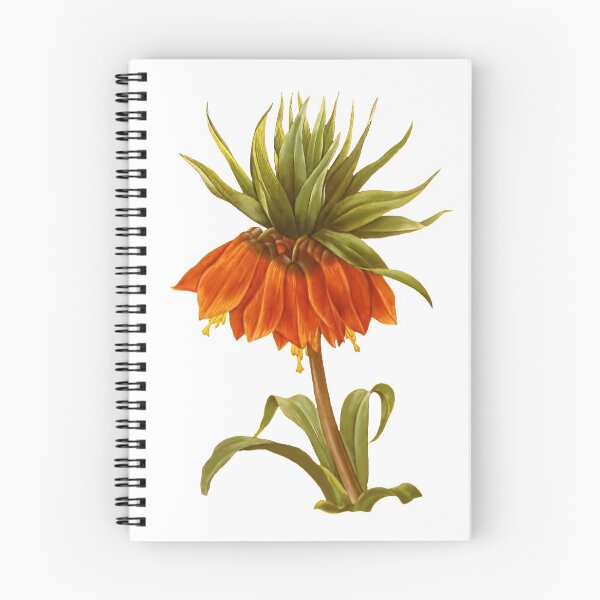 Item preview, Botanical Print, Imperial Crown by Redoute designed and sold by PixDezines.