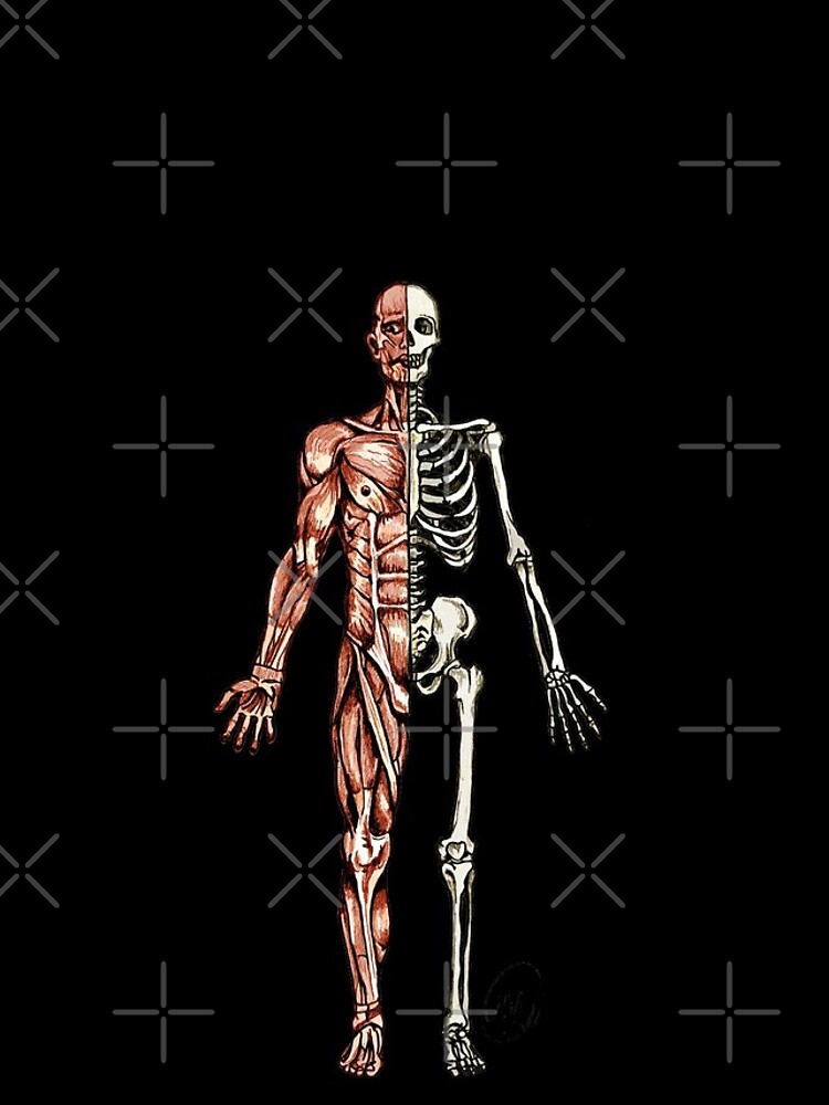 "Half Muscle Half Skeleton" iPhone Case for Sale by MVanHyll Redbubble