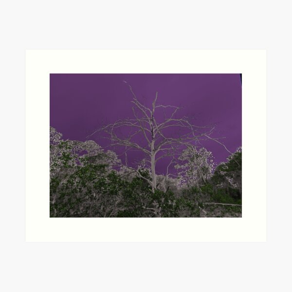 Item preview, Dead tree with purple background designed and sold by tinatill88.