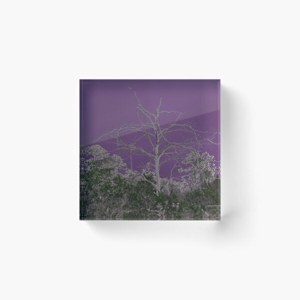 Item preview, Dead tree with purple background designed and sold by tinatill88.