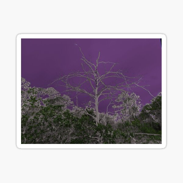 Item preview, Dead tree with purple background designed and sold by tinatill88.