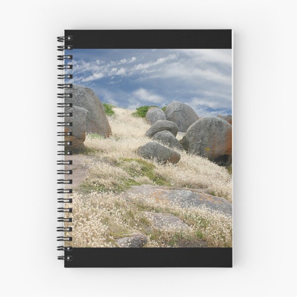 Artikelvorschau, Grass tails among the granite entworfen und verkauft von jwwallace.