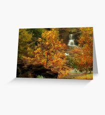 Reedy River Falls in the Fall Greeting Card