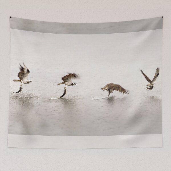Item preview, Bird of Prey Catching Fish designed and sold by Ohlordi.