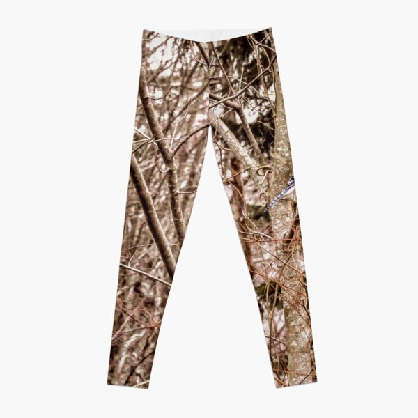 EQUILIBRIUM By Yannis Lobaina Leggings