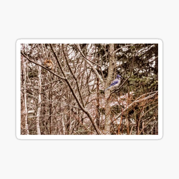 EQUILIBRIUM By Yannis Lobaina Sticker