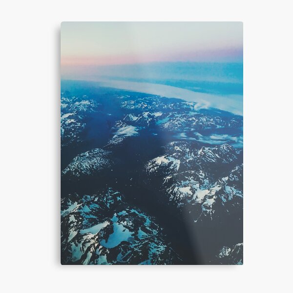 Plane View Metal Print