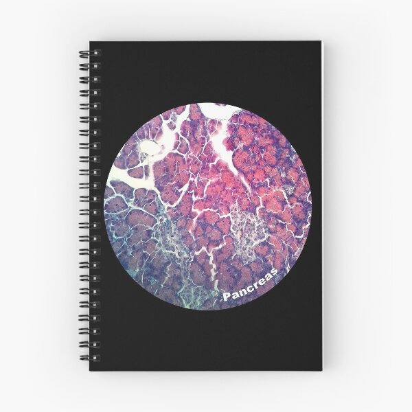 Item preview, Pancreas designed and sold by MVanHyll.