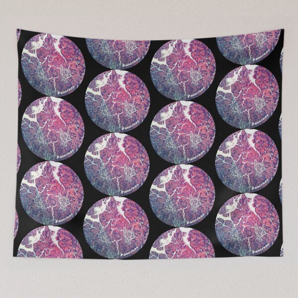 Item preview, Pancreas designed and sold by MVanHyll.