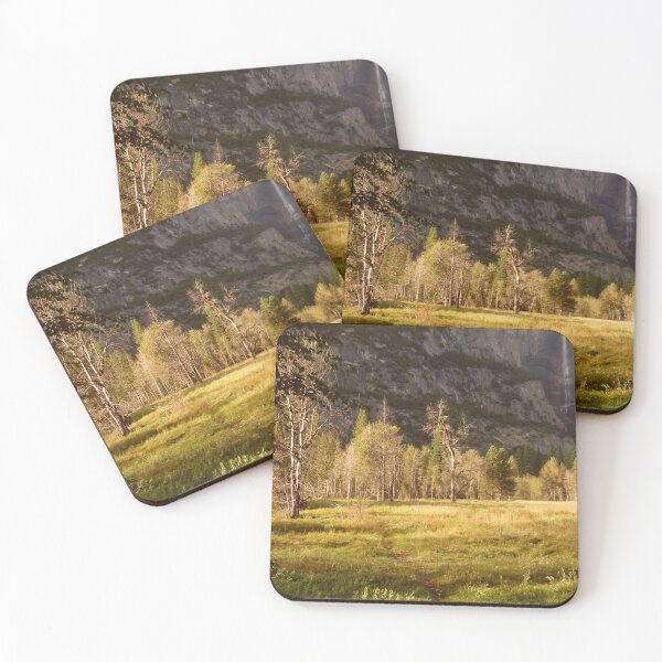 Artikelvorschau, Sun Glühen im Yosemite Valley entworfen und verkauft von Elaine Bawden.